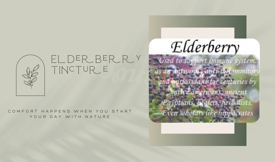 Elderberry
