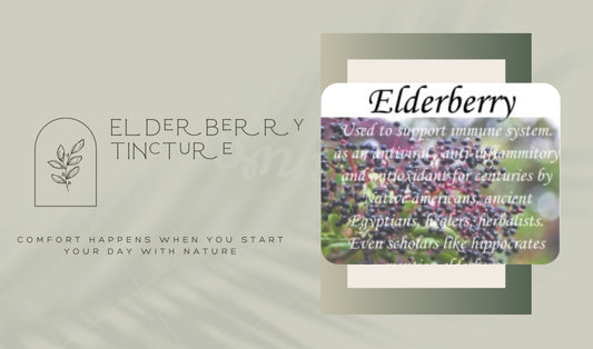 Elderberry