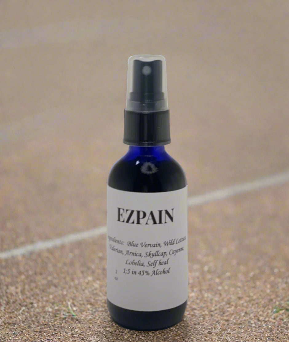 EZ PA-IN