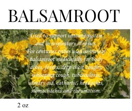 Balsam Root