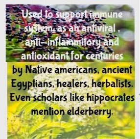 Elderberry & Elderflower