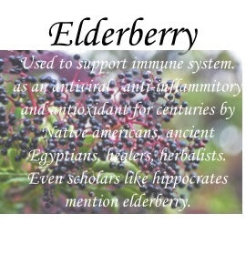 Elderberry